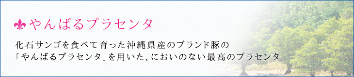 やんばるプラセンタ 化石サンゴを食べて育った沖縄県産のブランド豚の「やんばるプラセンタ」を用いた、においのない最高のプラセンタ