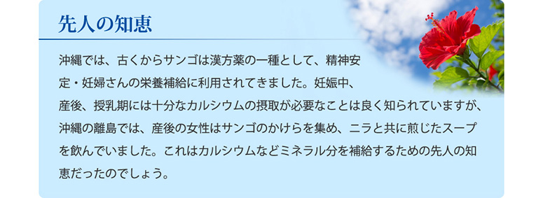 先人の知恵 沖縄では、古くからサンゴは漢方薬の一種として、精神安定・妊婦さんの栄養補給に利用されてきました。妊娠中、産後、授乳期には十分なカルシウムの摂取が必要なことは良く知られていますが、沖縄の離島では、産後の女性はサンゴのかけらを集め、ニラと共に煎じたスープを飲んでいました。これはカルシウムなどミネラル分を補給するための先人の知恵だったのでしょう。