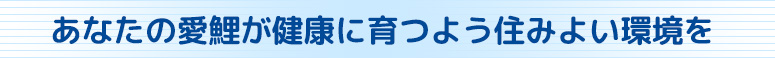 あなたの愛鯉が健康に育つよう住みよい環境を