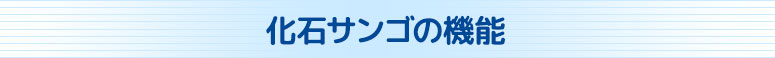 化石サンゴの機能